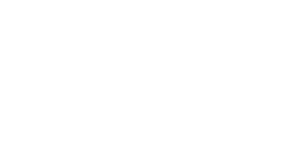 Otis FÉRU Logo